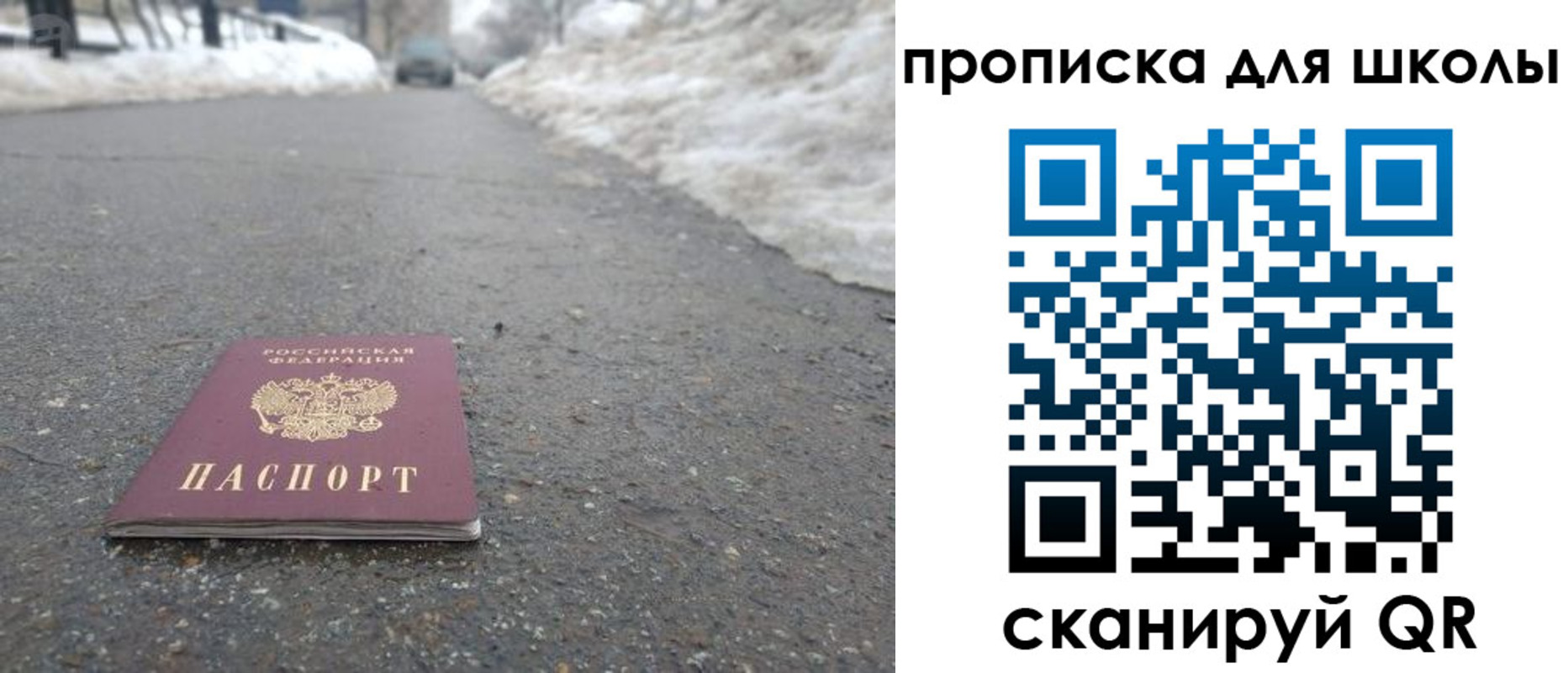 прописка для школы в Болотном